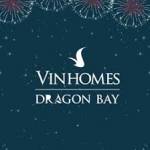 Vinhomes Dragon Bay Profile Picture