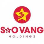 Sao Vàng Holdings Profile Picture